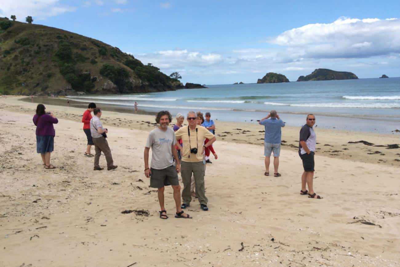 Walkers on the beach in the Bay of Islands