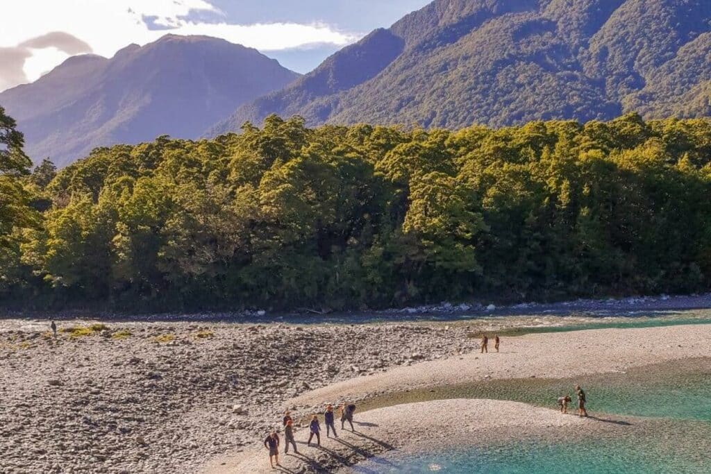 Beech forest and mountains near Haast Pass