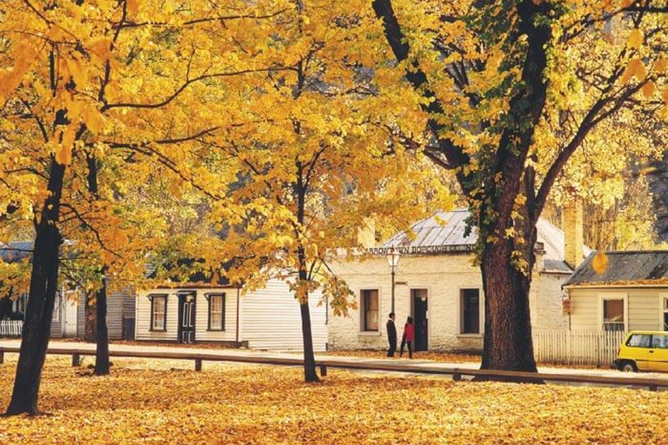 Autumn in Arrowtown