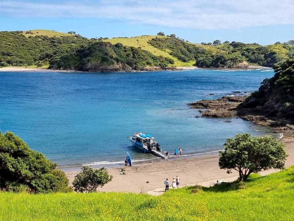 A Bay of Islands private cruise is included