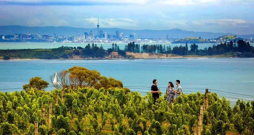 Views of Auckland from a Waiheke Island winery
