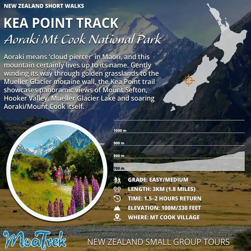 Kea Point Mt Cook Short Walk Infographic