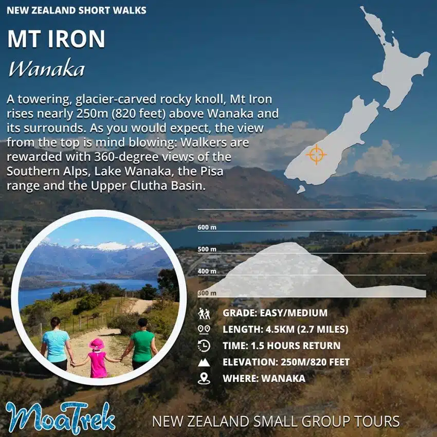 Mt Iron Wanaka Short Walk Infographic