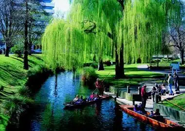 Punting on the beautiful Avon River in Christchurch