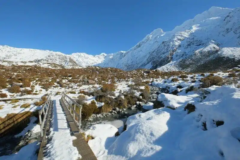 Tasman Glacier: Bridge over Stocking Stream