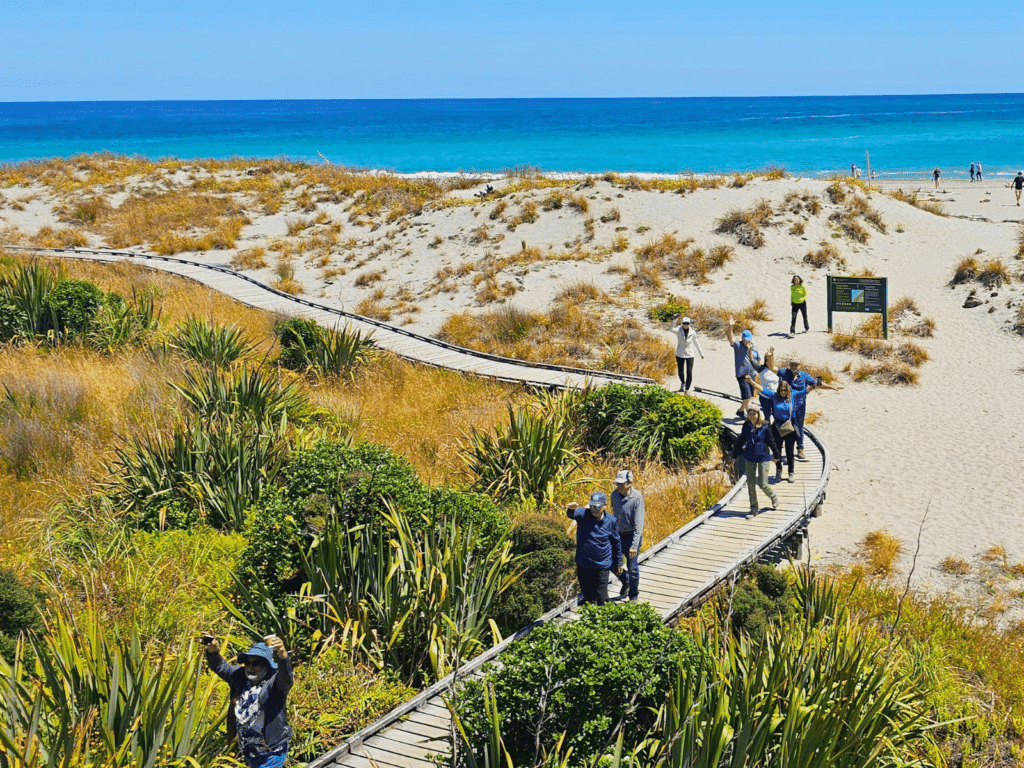 Walkers on the boardwalk at the coastal Ship Creek walk, West Coast, New Zealand