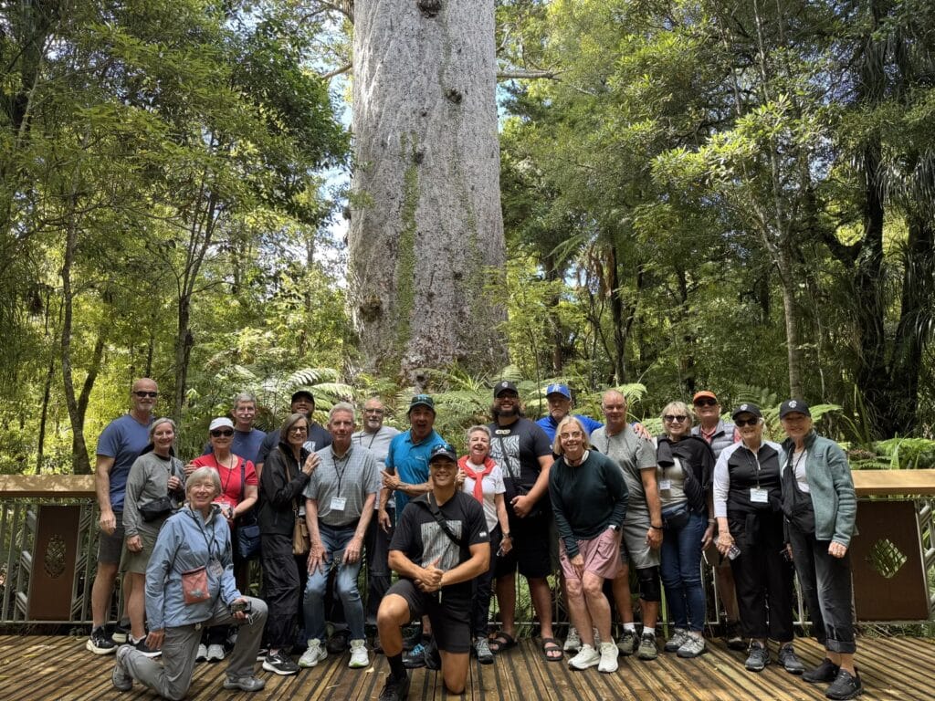 MoaTrek New Zealand small group tour at Tane Mahuta Kauri tree in Northland with local guides