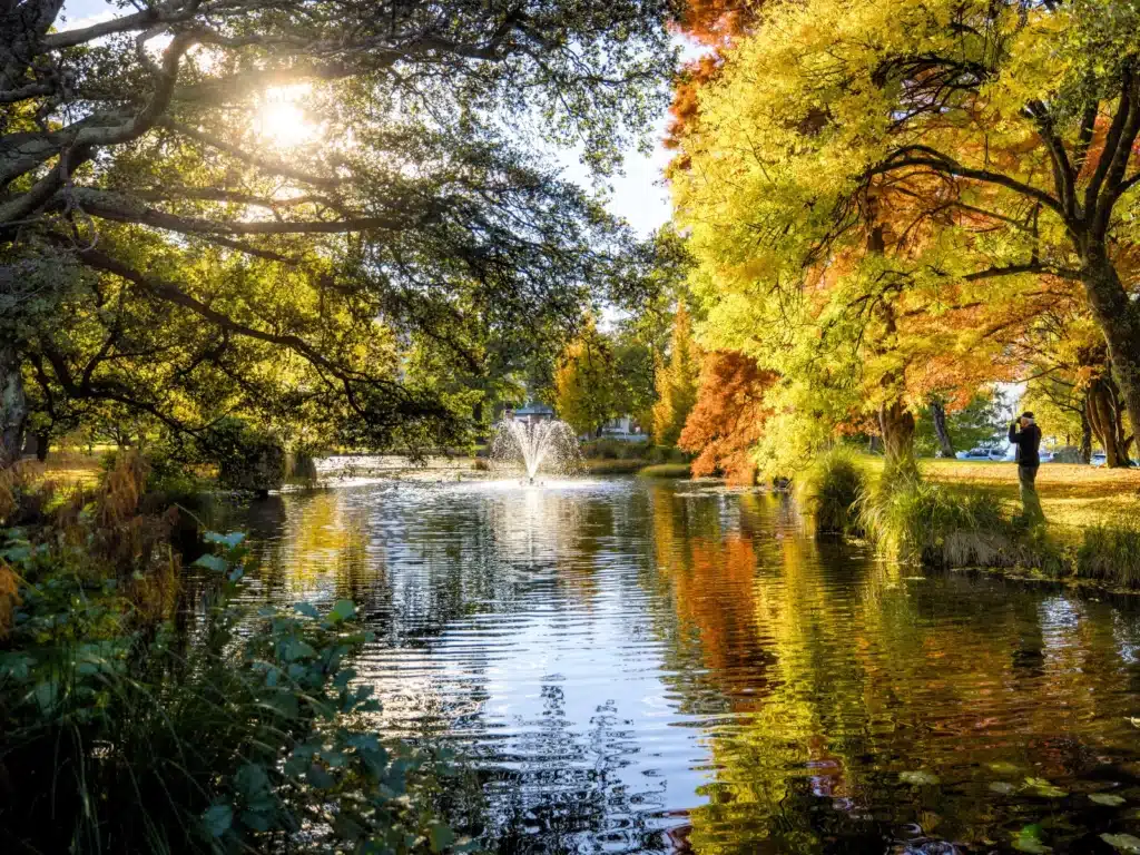 Autumn colours in the late afternoon sunshine in Queenstown Gardens
