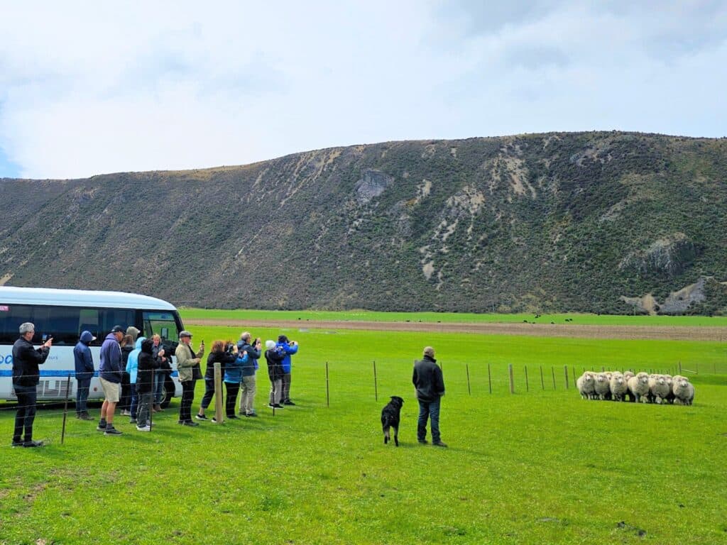 Farm tour, LongHill Station