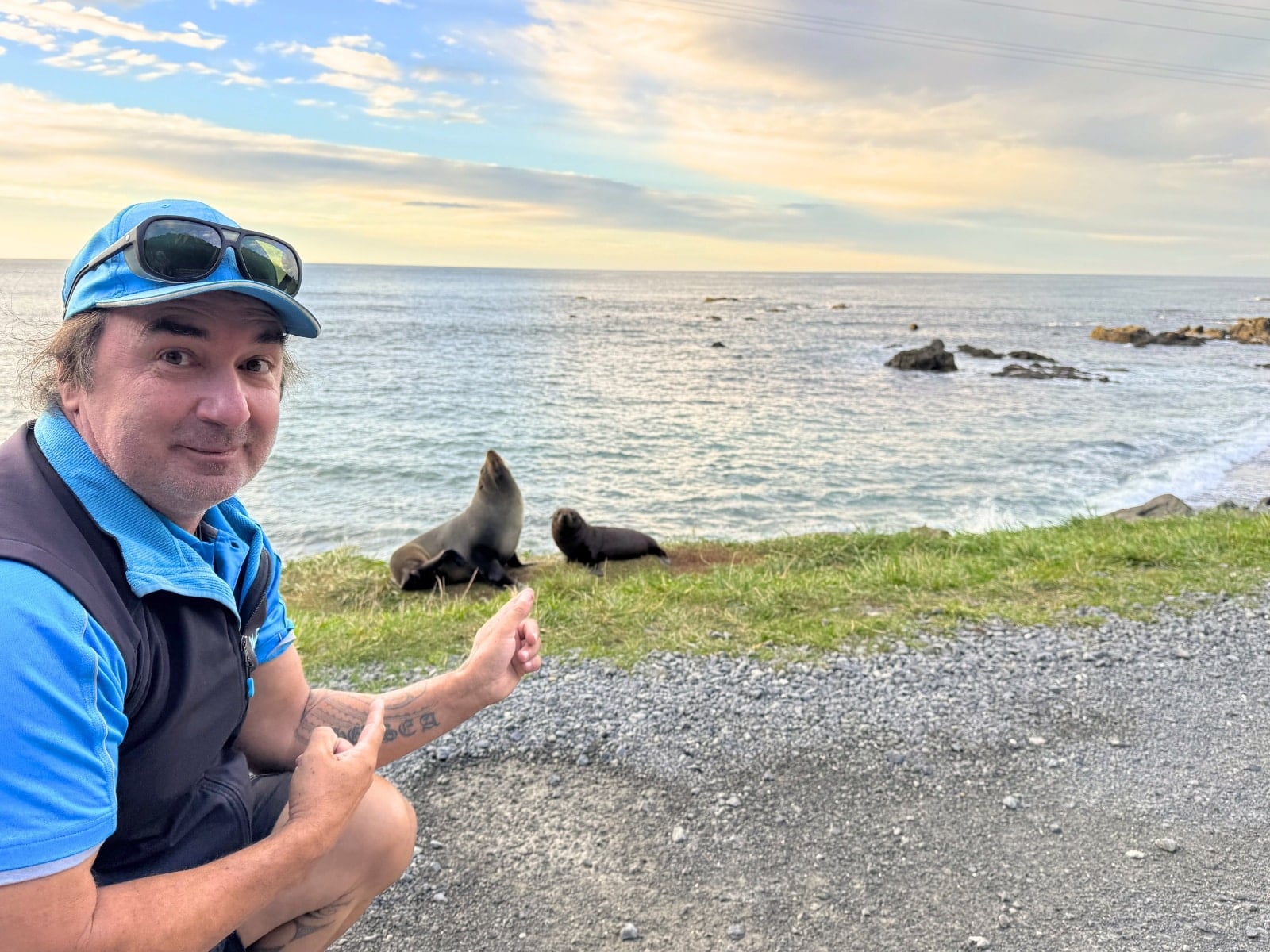 Seal spotting in Kaikoura